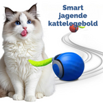 ZOOMI™ - Interaktiv kattebold